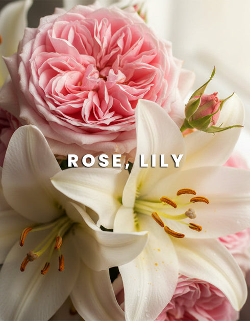 White Musk – Pure & Soft Fragrance for Women